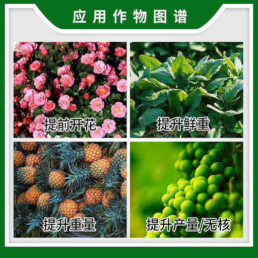 Sanliu Shanghai Tongrui Sanliu 3% gibberellic acid 920 gibberellin seedless seedling plant growth regulator 25ml