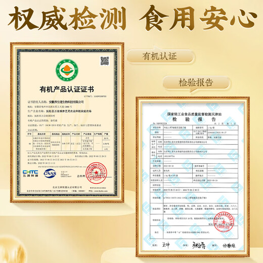 Peking Tongrentang [direkt in der Apotheke verkauft] Ganoderma lucidum sporenpulver, gebrochene Wand Ganoderma lucidum Sporenpulver, Verbesserung der Immunität und geben Sie den Eltern mittleren Alters und älteren Menschen, die Eltern und Älteste 1 Box geben