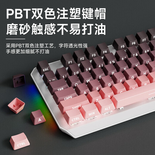 Reenvío TK870 Teclado mecánico inalámbrico y mouse Bluetooth Bluetooth Tres modos de alto valor Grabado Lado de Blackberry Gaining de 104 teclas ESPORTORES ESPORTEROS ESPORTORES DEL ESCUPO CAPÍTULO CAPETA CLAPED CLAVE PERIPHERAL WHITE-87 WHITE-87 [Bluetooth inalámbrico] Axis de color azul claro blanco blanco (sensación crujiente)