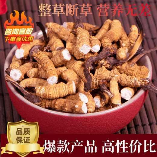 [Traitez l'herbe brisée] Cordyceps sinensis grosse herbe brisée authentique région tibétaine Broken Grass authentiques bien séchées. Nagqu High Altitude Snow Mountain Whole Meat Festival au Tibet 5 grammes Pack