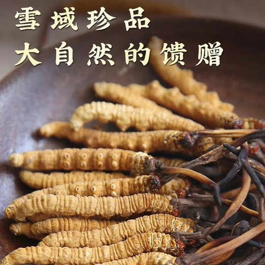 
Kangyuan Tibetan grassland Cordyceps sinensis high-altitude dry goods Cordyceps health supplements gift gifts for parents, elders and colleagues high-end gift boxes 4 pieces per gram 20 pieces of crystal tube gift boxes