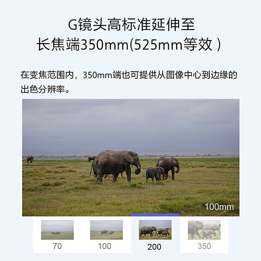 Sony (SONY) E 70-350mm F4.5-6.3 G OSS APS-C format super telephoto zoom G lens E 70-350F4.5-6.3