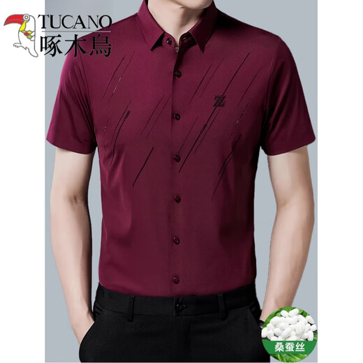 Woodpecker (Tucano) Shirt Men's Happy Dad Wedding Banquet 2024 Nouveau style de l'année de la robe bordeaux du dragon de naissance