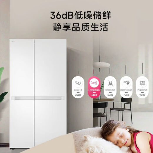 LG6555-Liter-Kühlschrank Doppeltür Großkapazität Klimaiger frostfreier intelligenter Frequenzumwandlung Energiesparender Kühlschrank Weiß