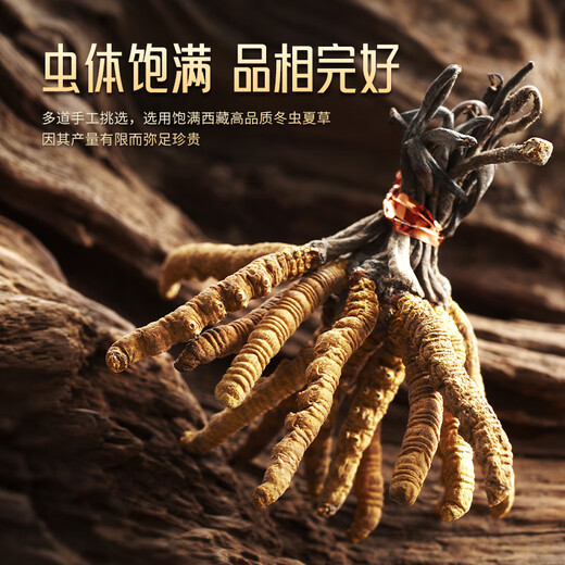 
Hu Qingyutang Cordyceps sinensis 4.6 roots/g 5g Zhahua acrylic box about 21-23 roots Tibet Cordyceps sinensis 46