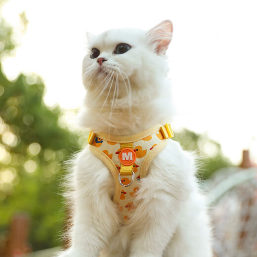 Cat leash, cat leash, anti-breakaway, special puppy leash, vest-type cat leash, cat leash, little yellow duck + fairy cat wand, fairy cat sucker XS, recommended 2-6 Jin [Jin equals 0.5 kg] for cats