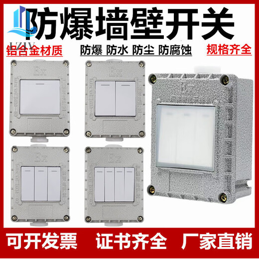 Explosion-proof wall switch Explosion-proof lighting switch SW-10 waterproof and dustproof wall switch 86 type 220V 380V Explosion-proof lighting switch 220V regular model