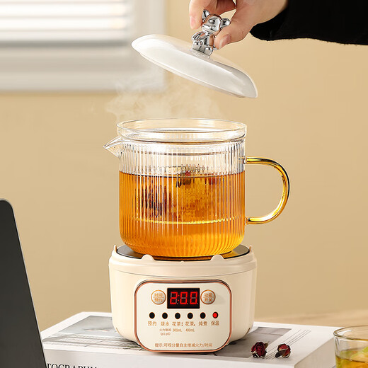 Mini multifunctional health pot all-glass electric ceramic stove health kettle small office tea maker 2024 new teapot mini flower teapot health cup for one person smart electric ceramic stove + 1.05L glass cup + glass tea drain