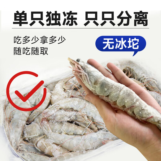 Fishing Travel Notes Qingdao Prawns Net 3 Jin Jin is equal to 0.5 kg 75-90 salt-frozen white shrimps, base shrimps, salt-frozen fresh shrimps