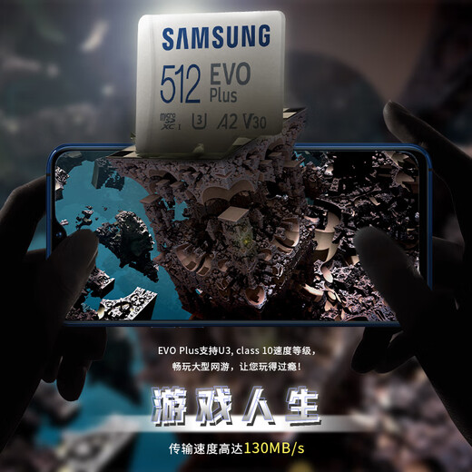 Carte mémoire Samsung 512G Mobile GoPro Drone MicroSD Tablet Switch Extension Memory Memory Carte 512 Go Black (200) Entrée Configuration standard officielle