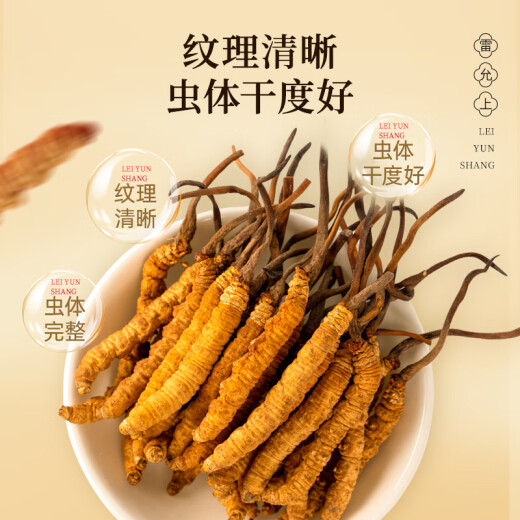 雷允上冬虫夏草礼盒3-5根/g 10g约32-50根滋补品端午送长辈滋礼物