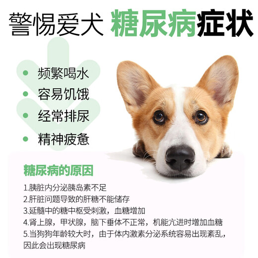 Daily dog food, special dog food for diabetes, low sugar, blood sugar control, full price puppy food, prescription food 200g