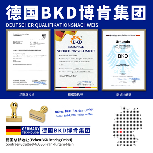 德国BKD进口轴承6201自行车6202专用电动车轴承6203前后轮6204轴承6205RS6206 6205RS/P4胶盖