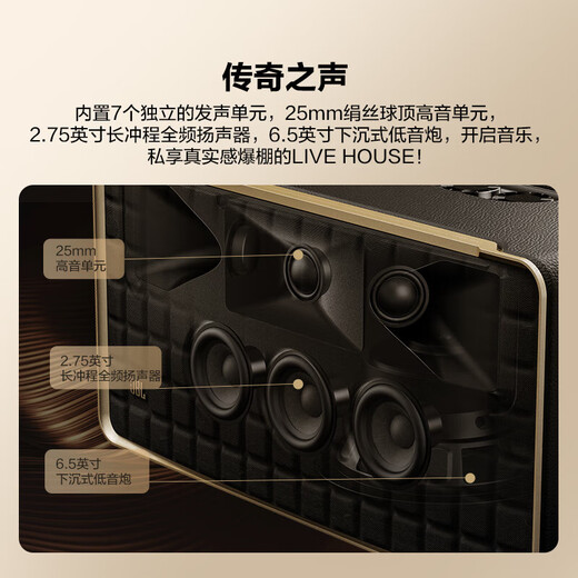 JBL Music Family 500 Bluetooth Speaker + Music Waltz SPINNER BT Professional Gramophone Vinyl Record Player Set