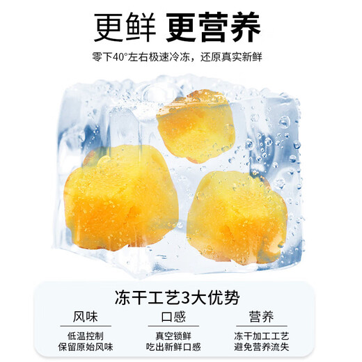 WEYES freeze-dried egg yolk granules 1000g barreled into pet snacks for kittens and dogs freeze-dried raw cut egg yolk lecithin