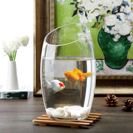Tongrubi Bureau petit aquarium épaissis épaissis de chair de tortue en verre transparent salon maison de bureau rond mini petit cuve à poisson d'inclinaison 9715