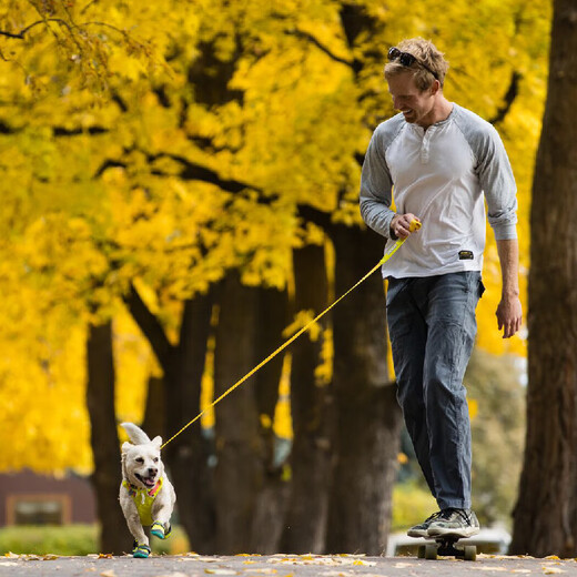 Ruffwell Ruffwear Hi Light Dog Leash Small and Medium-sized Dog Leash Dog Leash Dog Walking Leash Explosion-proof Cute Dog Sage Green/Misty Green