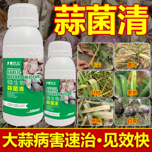 Garlic Bacteria Extract Original Liquid Garlic Special Medicine Dry Tip Yellow Leaf Root Rot Leaf Blight Rust Purple Spot Sterilizing Garlic Bacteria Clear 100ml 1 Bottle