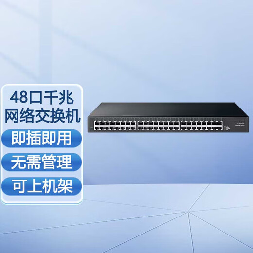 普联（TP-LINK）企业级办公家用校园宿舍网络网线分流器以太网交换机分流器 TL-SG1048 48口千兆可上机架