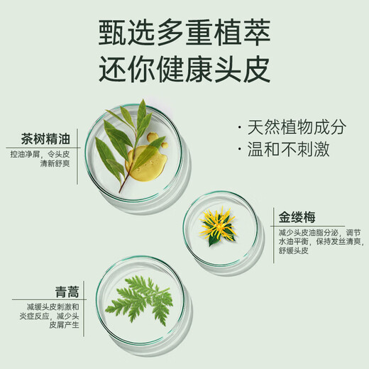 Shulei Tea Tree Sakura Washing Set 1130ml Oil Control Fluffy Anti-dandruff Shampoo Shower Gel Old-branded Domestic Products