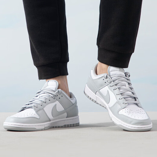 耐克（NIKE）正品男鞋 24秋季新款DUNK透气运动鞋舒适时尚休闲板鞋 DD1391-103 42