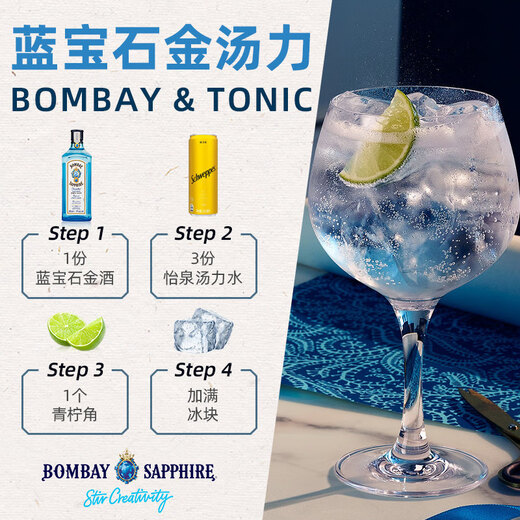 Bacardi Mumbai Stone Gin 500ml + Weißer Rum 500ml Fremdwein Misch