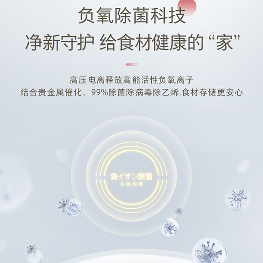 东芝（TOSHIBA）620升高容全嵌五门法式家用冰箱变频风冷一级能效 雾化保鲜负氧除菌自动制冰 GR-RM686WI-PG1B3 富士白