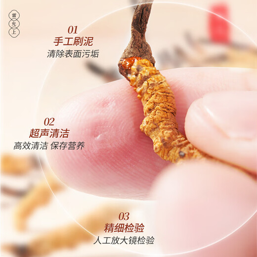 雷允上【官方】冬虫夏草 高端礼盒高档补品送人长辈父母礼盒 虫草5根/g 1g约5根