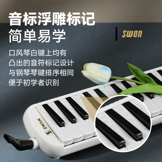 Swan (SWAN) F06 oral organ 37 keys professional performance grade primary school students special children adult junior high school students oral organ