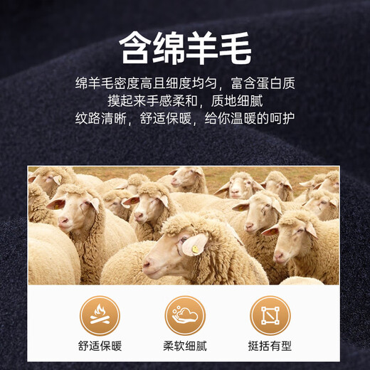 Septwolves woolen coat men's winter lapel business casual jacket young and middle-aged versatile warm tops clothing men's clothing