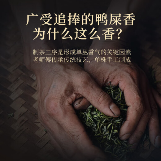 华祥苑茶叶自己喝 凤凰单枞茶特级鸭屎香潮州单丛茶乌龙茶2罐共250g