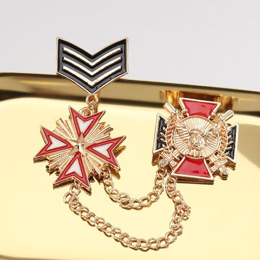 QUAMER Gold Store Model 2024 New Badge Brooch College Style Men's and Women's Fashion Metal Brooch Student Uniform A1