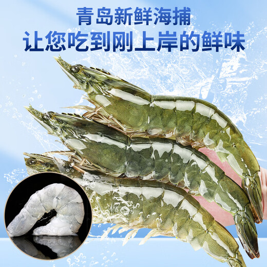 Hunyuan Beast Shrimp Domestic Qingdao Freshly Caught Prawn Extra Large Green Prawn Frozen Sea Shrimp Fresh Shrimp White Shrimp Qingdao Salt Frozen Prawn 3-4Jin Jin equal to 0.5kg (net weight) 15-18cm (recommended by the store manager)