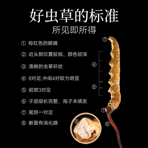 Tongrentang (TRT) Beijing Tongrentang Cordyceps sinensis-50/6G Cordyceps Cordyceps High-Gift Box Box Pack