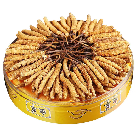 Peking Tongrentang Qualität Cordyceps Lhasa Versand authentisch Cordyceps Geschenkbox Pack gebrochen Cordyceps Trocken Knoblauch Geschenkbox Geschenkbox 2 Stangen 1 g Knoblauch Geschenkbox 20 Stangen 10 g insgesamt [Geschenk Can]