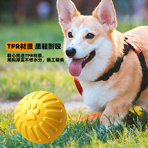 Hanhan Paradise Pet Dog Toy Bouncy Ball Bite-Resistant Dog Training Artifact Large, Medium and Small Border Collie Teddy Can't Bite Puppy Toy