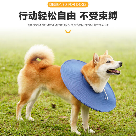 LOVINGPET (LOVINGPET) Elizabethan collar dog anti-licking collar large dog Elizabethan collar deepened dog Elizabethan collar dark blue L diameter 44cm neck circumference 50cm