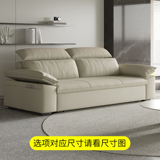 Wufeng sofa bed dual-use Guangdong Foshan sofa living room small apartment modern simple bed folding dual-use new Internet celebrity cat coffee color 205-9170cm sponge style