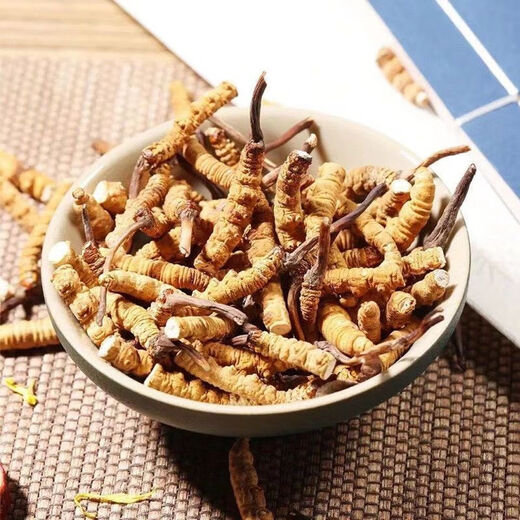 Peking Tongrentang Qualität Cordyceps Lhasa Versand authentisch Cordyceps Geschenkbox Pack gebrochen Cordyceps Trocken Knoblauch Geschenkbox Geschenkbox 2 Stangen 1 g Knoblauch Geschenkbox 20 Stangen 10 g insgesamt [Geschenk Can]