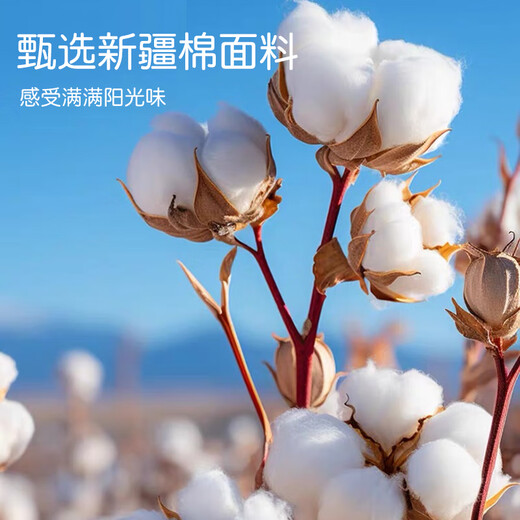Muji Klasse A Full Cotton Quilt Deck