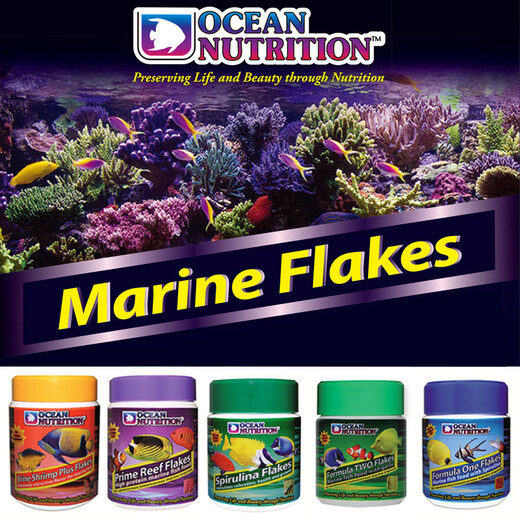 Fish Kirin United States imported marine brand seawater fish feed ornamental fish sea fish open fish fish food clown fish fish food vegetarian seafood thin slices 71g