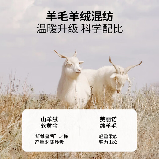 EMZ Ordos wool cashmere autumn and winter men's cashmere lining warm and crisp business casual woolen coat