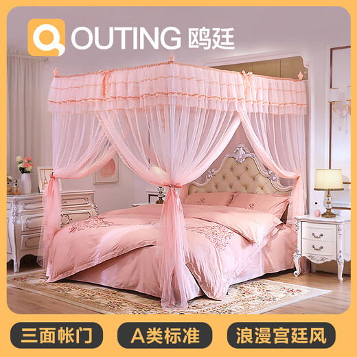 Ausflug (Ausflug) neuer Stil Palast Landing Internet Promi Ins Moskiton NET 1,5m1,8 m Bett Haushaltsklasse Prinzessinstil verschlüsseltes Muster Konto 9923 Pink 1,8 m (6 Fuß) Bett