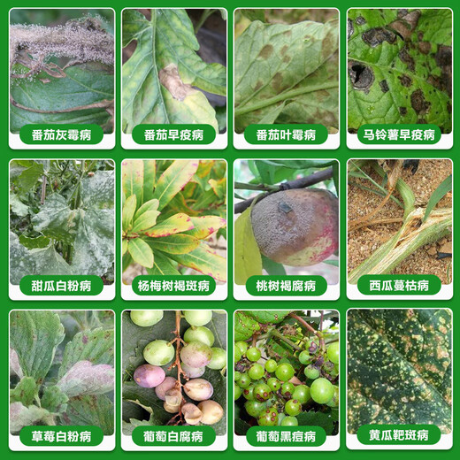 拜耳德国露娜森 43%氟菌肟菌酯白粉病疫病炭疽病靶斑病蔓枯病杀菌剂 10ml*1支