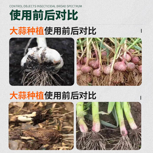 Garlic bacteria pure liquid microbial agent special medicine for garlic disease dry tip yellow leaf bactericidal microbial agent 1000g