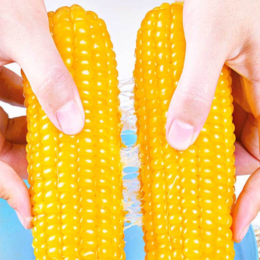 Jingxiansheng Northeastern Yellow Corn 260g*10 Cobs Vacuum Packaging Sticky Corn Sticky Corn Straight from the Source