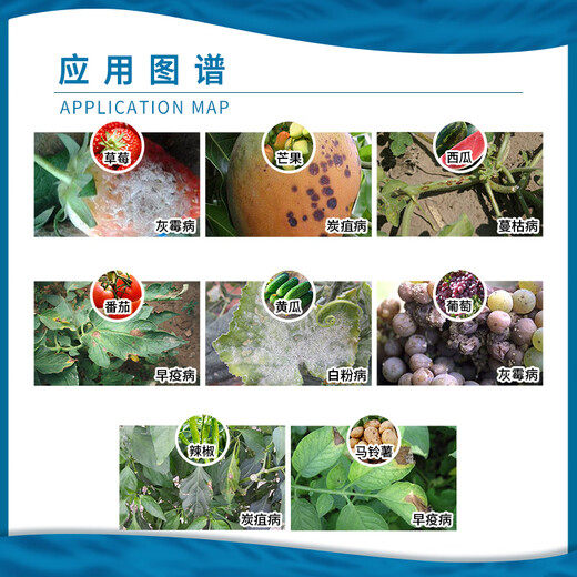 Bayer Lunason Fluorotrisporin trifloxystrobin grape strawberry anthracnose gray mold powdery mildew early blight fungicide 10ml