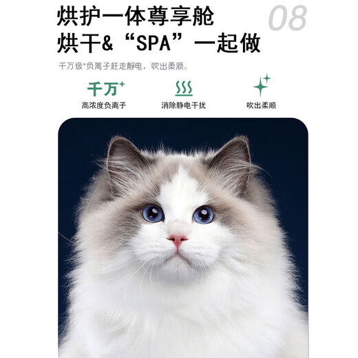 宠智迪中大型犬宠物烘干箱宠物吹毛烘干机狗狗洗澡吹干神器边牧吹水箱 标准风200升【3面出风带沥水盘50斤内可用】