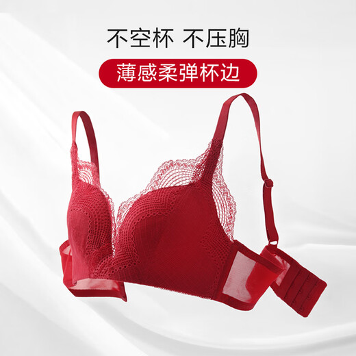 Embry Celebrity Style Bra and Panties Set, Small Breast Comfortable Wire-Free Push-up Bra, New Year's Gift, RED Lace Style, Tianxi Set-Micro Push-Up 75B