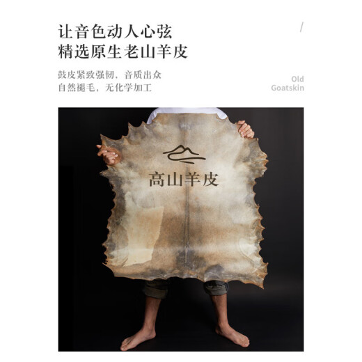 前谷非洲鼓8/10/12寸手鼓丽江手拍鼓儿童幼儿园专用成人打击乐器 【PVC鼓】大8单车恐龙+赠
